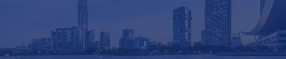 中国企业能力评价